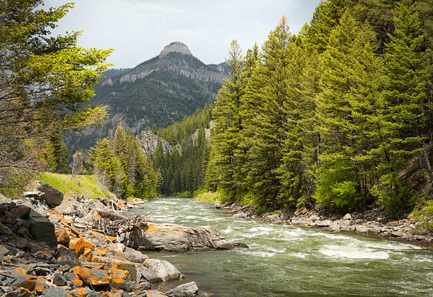 Montana